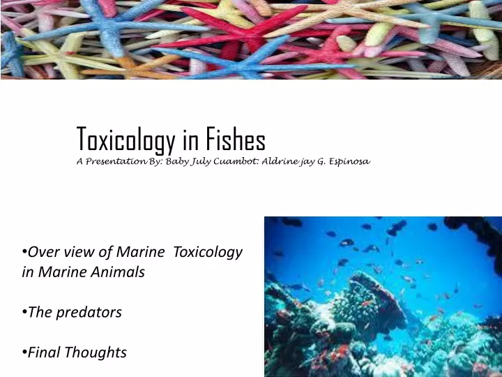 toxicology in fishes a presentation by baby july