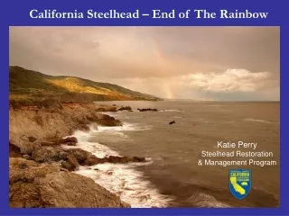 California Steelhead – End of The Rainbow