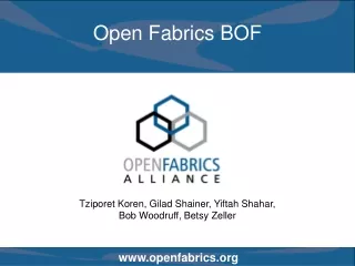 Open Fabrics BOF