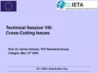 Technical Session VIII:  Cross-Cutting Issues