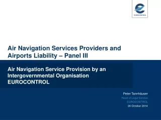 Air Navigation Services Providers and Airports Liability – Panel III