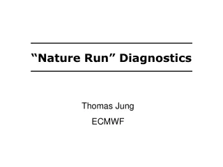 “Nature Run” Diagnostics