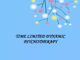 Time Limited Dynamic Psychotherapy