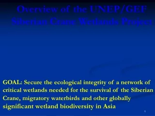 Overview of the UNEP/GEF  Siberian Crane Wetlands Project