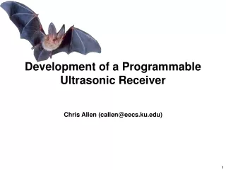 Development of a Programmable  Ultrasonic Receiver