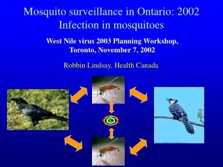 Mosquito surveillance in Ontario: 2002 Infection in mosquitoes