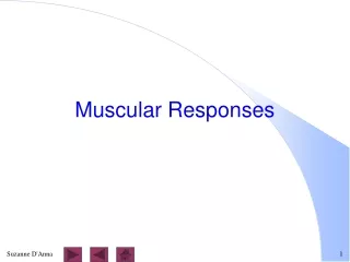 Muscular Responses
