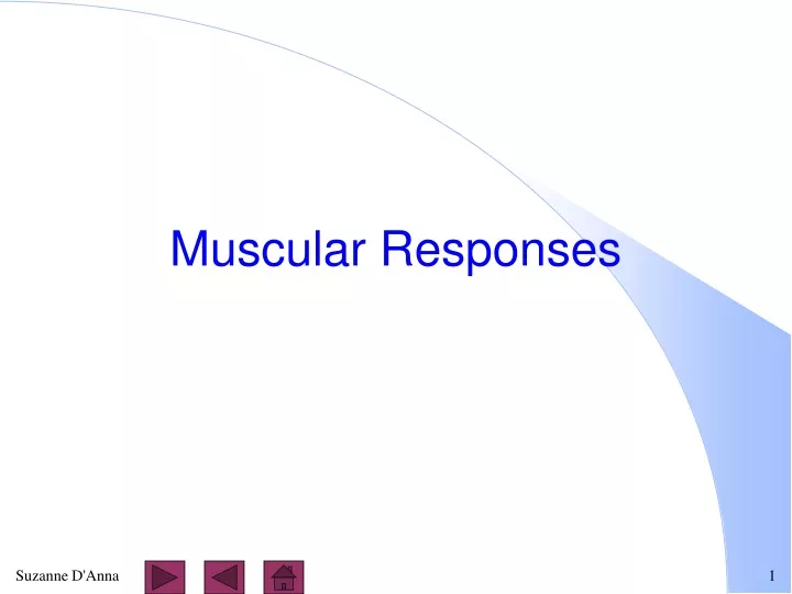 muscular responses