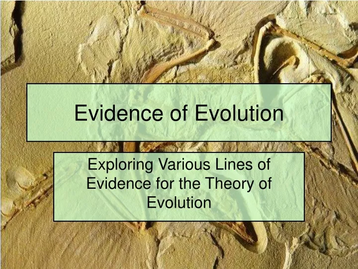 evidence of evolution