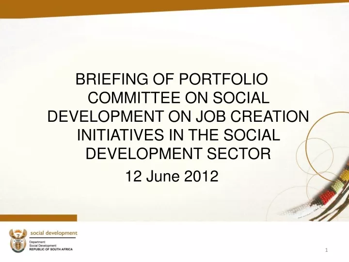 briefing of portfolio committee on social