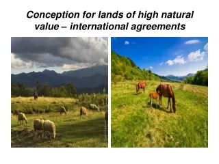 Conception for lands of high natural value – international agreements