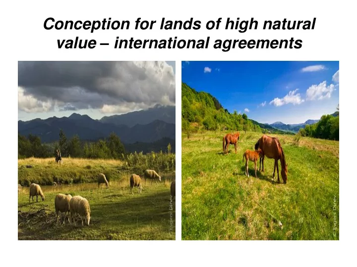 conception for lands of high natural value international agreements