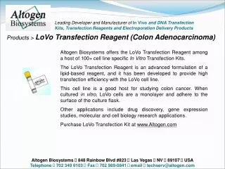 Products &gt;  LoVo Transfection Reagent (Colon Adenocarcinoma)