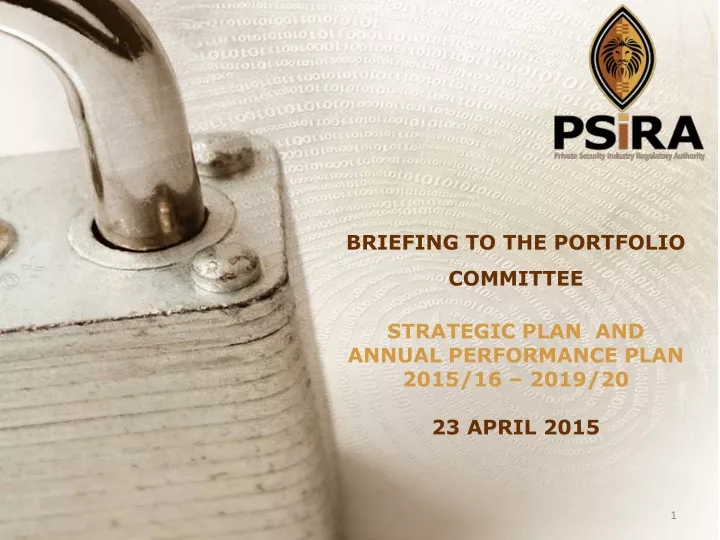briefing to the portfolio committee strategic