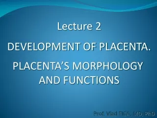 Lecture 2 DEVELOPMENT OF PLACENTA. PLACENTA’S MORPHOLOGY  AND FUNCTIONS