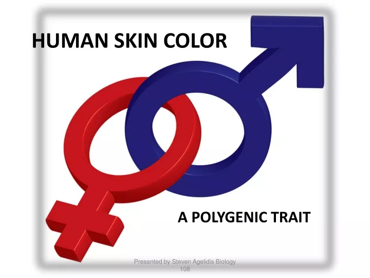 human skin color