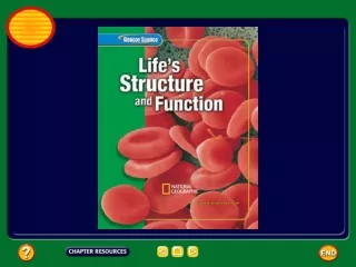 Chapter:  Cell Processes