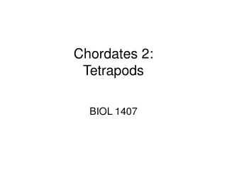 Chordates 2: Tetrapods