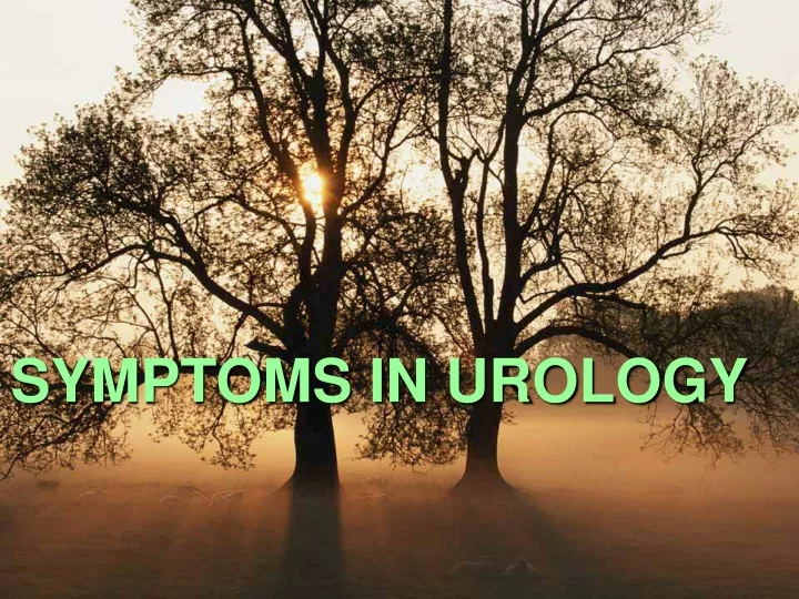 symptoms in urology
