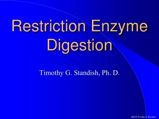 Restriction Enzyme  Digestion