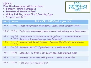 YEAR 10 Over the 4 weeks you will learn about: Sensory Testing Techniques