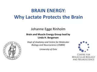 BRAIN ENERGY:  Why Lactate Protects the Brain