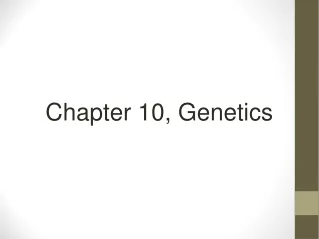Chapter 10, Genetics