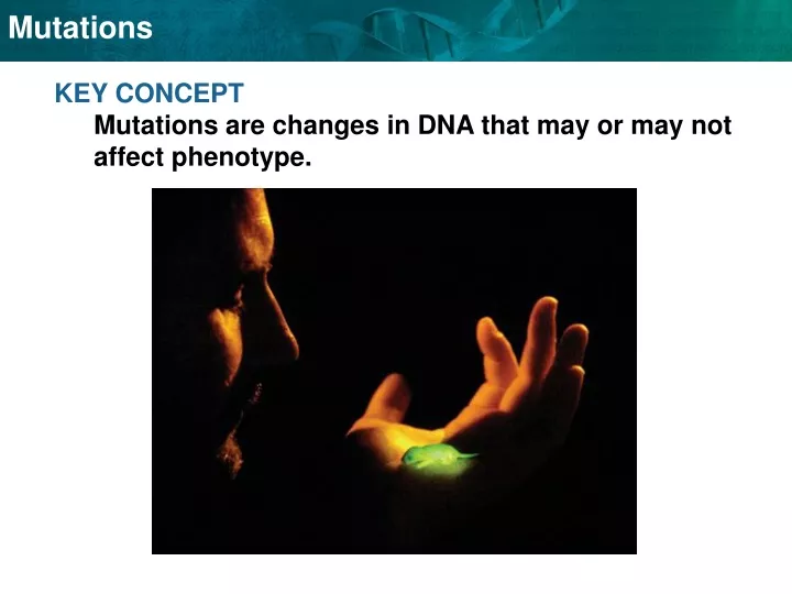 key concept mutations are changes in dna that