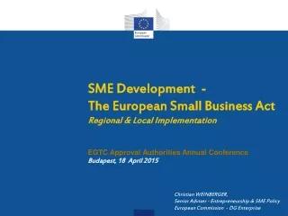 SME Development  -  The European Small Business Act Regional &amp; Local Implementation