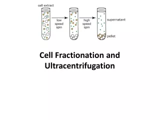 Cell Fractionation and Ultracentrifugation
