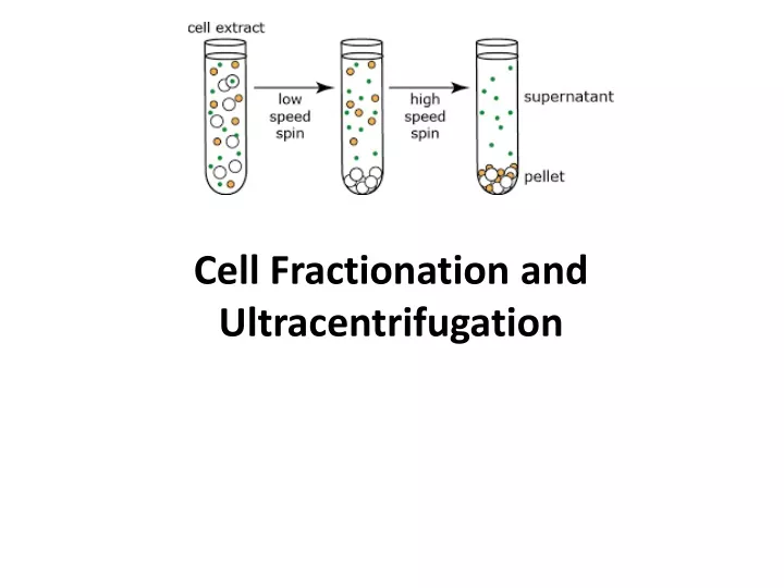 cell fractionation and ultracentrifugation