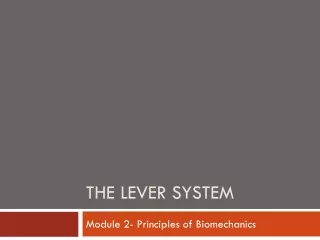 The lever system