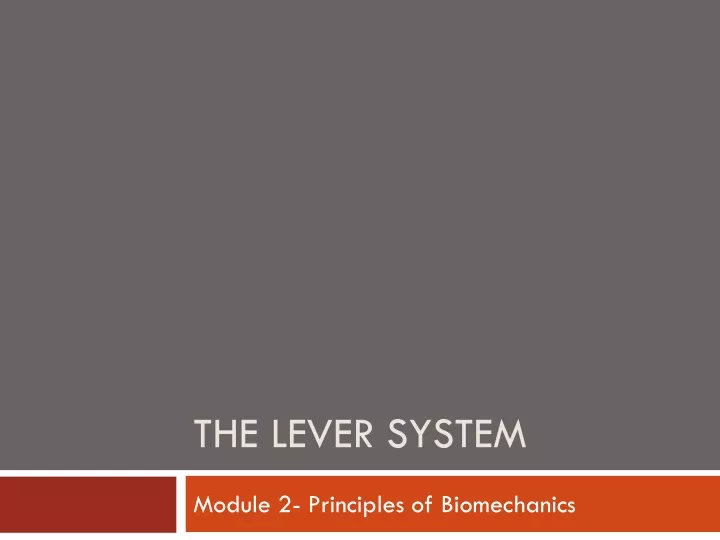the lever system