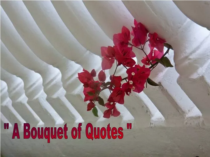 a bouquet of quotes