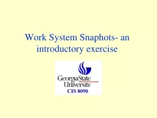 Work System Snaphots- an introductory exercise