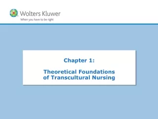 Chapter  1:  Theoretical Foundations  of Transcultural Nursing