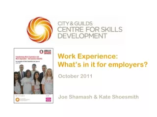 Work Experience:  What’s in it for employers?