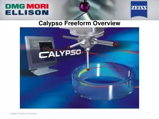 Calypso Freeform Overview