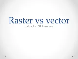 Raster vs vector