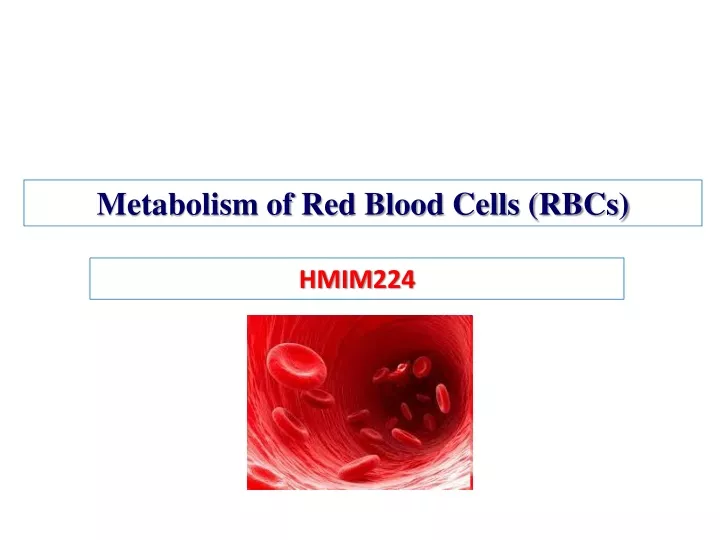 metabolism of red blood cells rbcs