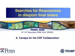 Searches for Resonances  in dilepton final states