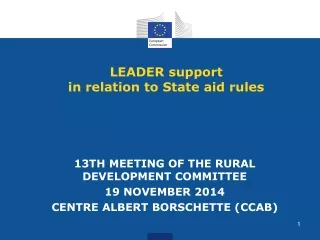 LEADER support  in relation to State aid rules