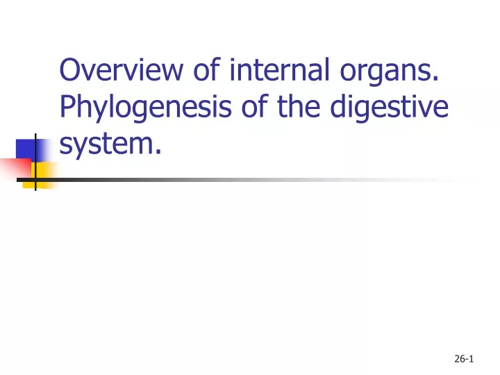 overview of internal organs phylogenesis of the digestive system