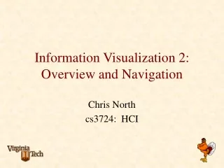 Information Visualization 2: Overview and Navigation