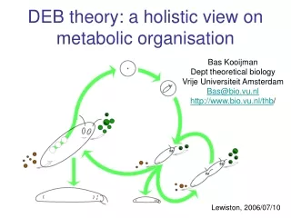 DEB theory: a holistic view on metabolic organisation