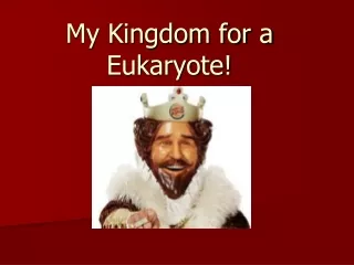 My Kingdom for a Eukaryote!