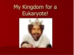 My Kingdom for a Eukaryote!