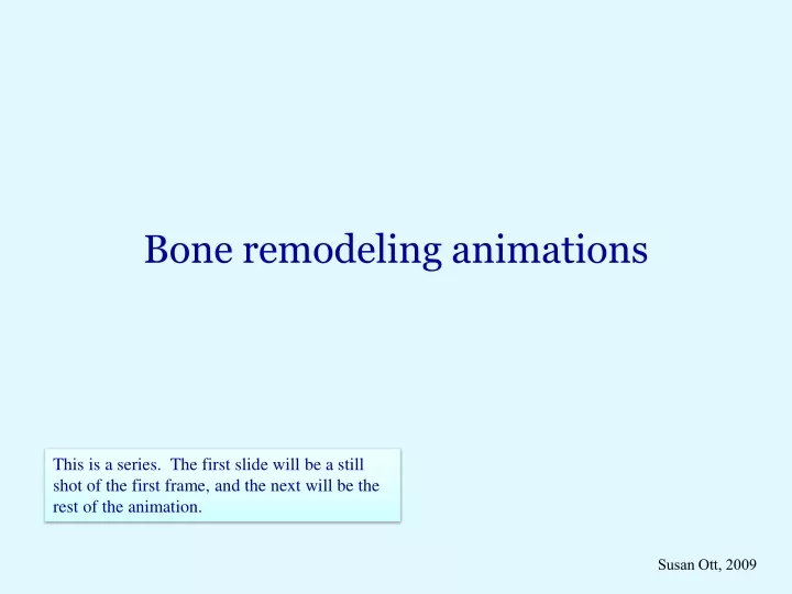 bone remodeling animations