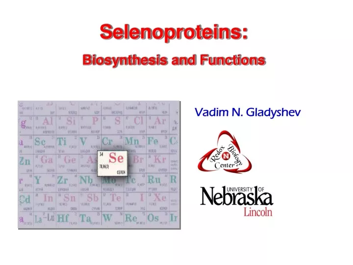 selenoproteins biosynthesis and functions