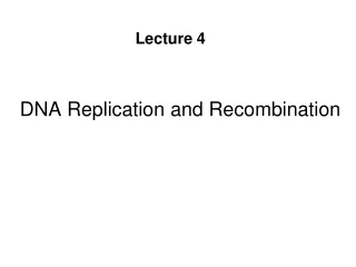 DNA Replication and Recombination